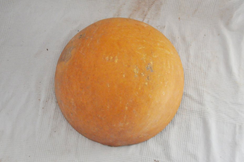 Demi-calebasse Ø47-48 cm - Calebasse hémisphérique