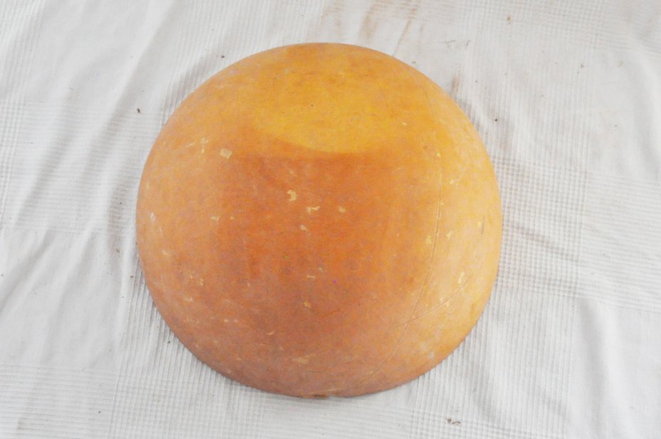 Demi-calebasse Ø51-52 cm - Calebasse hémisphérique