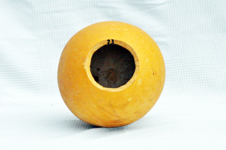 Calebasse entière Ø23-24 cm - Calebasse sphérique