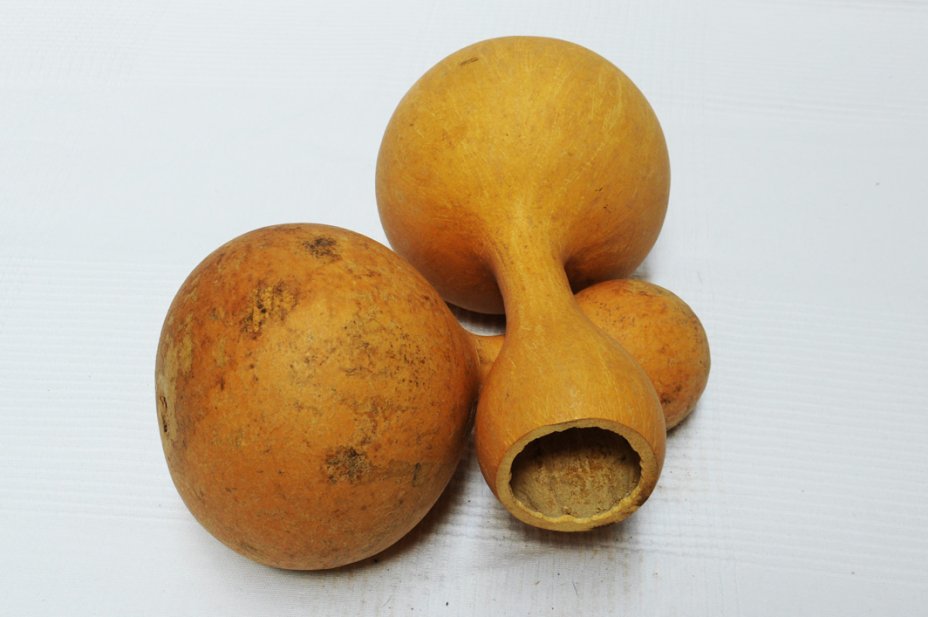 Calebasse gourde Ø27-28 cm - Calebasse bouteille