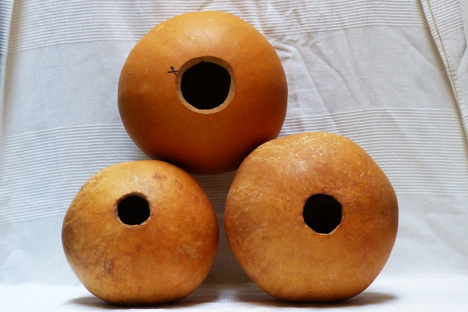 Calebasse entière Ø17-18 cm - Calebasse sphérique