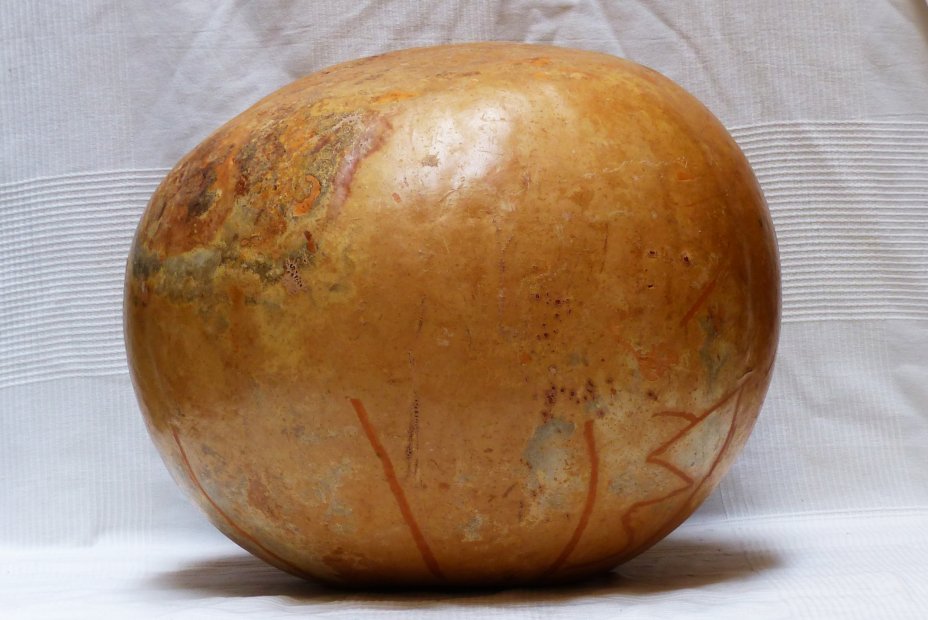 Calebasse entière Ø59-60 cm - Calebasse sphérique