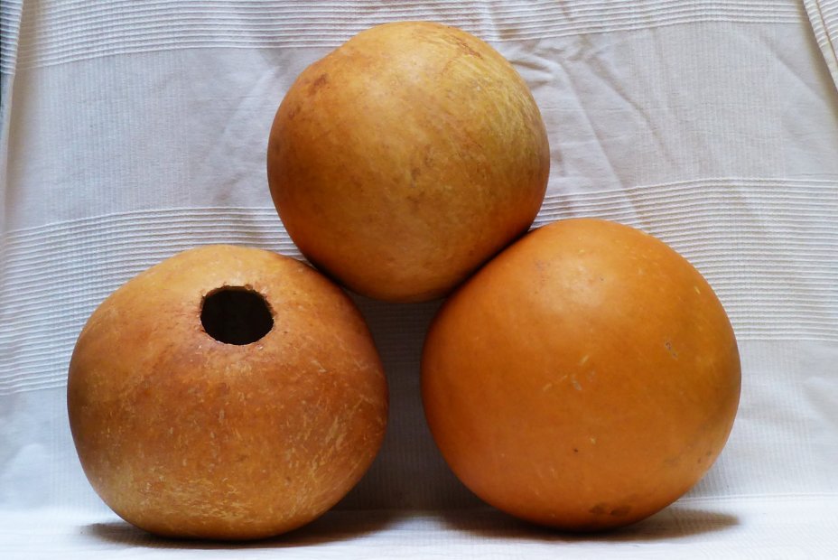 Calebasse entière Ø17-18 cm - Calebasse sphérique